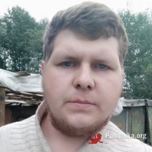 Алексей , 31 год